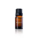 Woody Scents (3).webp