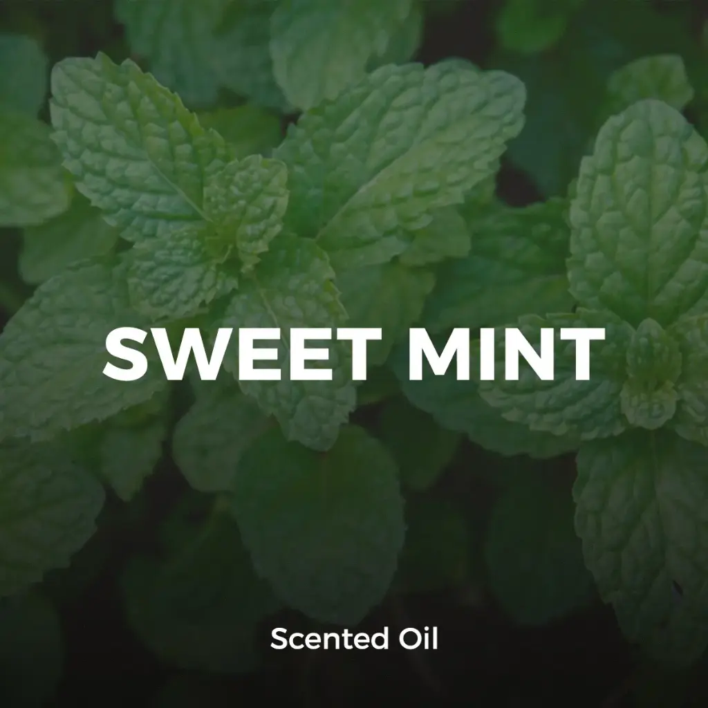 Sweet Mint