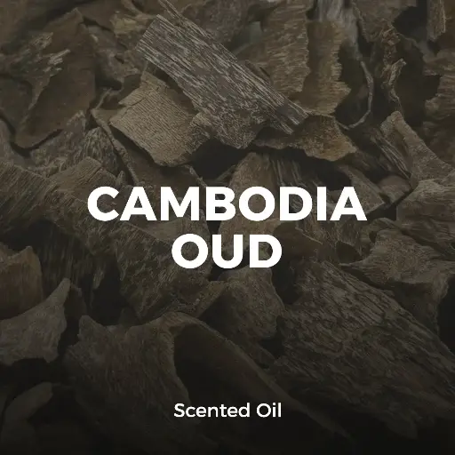 Cambodia Oud