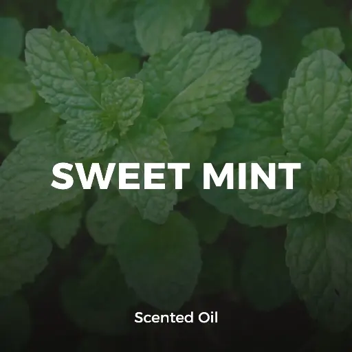 Sweet Mint