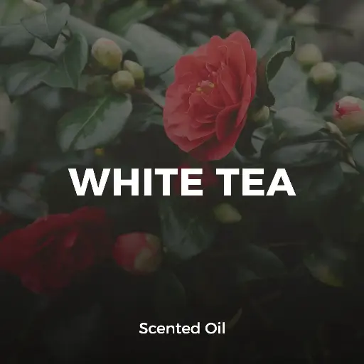 White Tea
